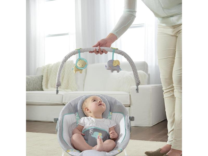 Hamaca Mecedora para Bebé Ingenuity