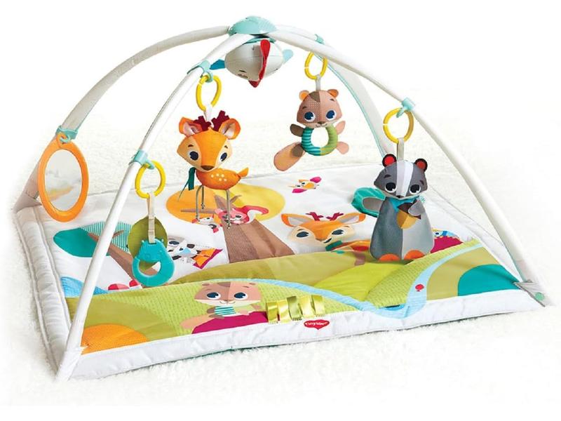 Gimnasio Infantil Evolutivo Musical 2 en 1