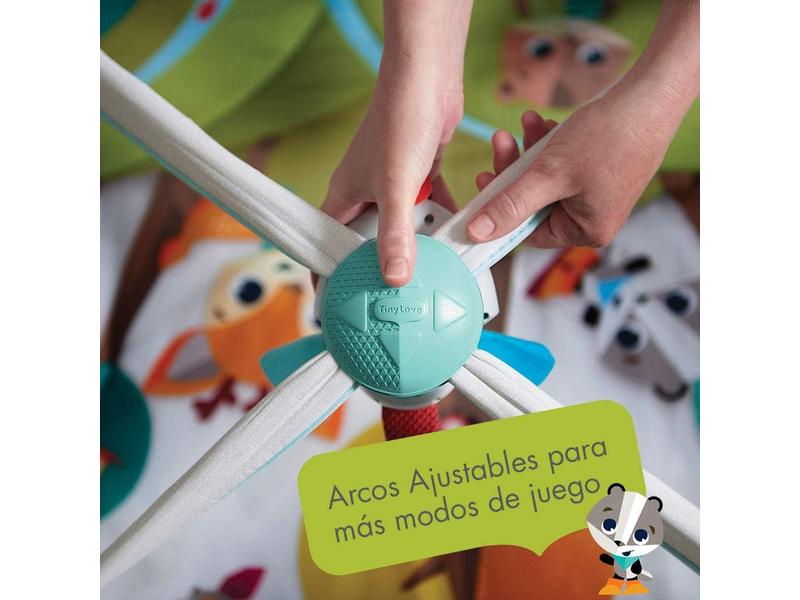 Gimnasio Infantil Evolutivo Musical 2 en 1