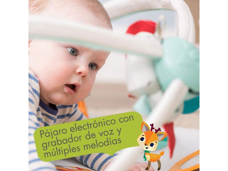Gimnasio Infantil Evolutivo Musical 2 en 1