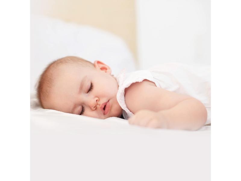 Cama colchón classic Cotton Algodón Blanco, 105 x 57.5 x 6 cm