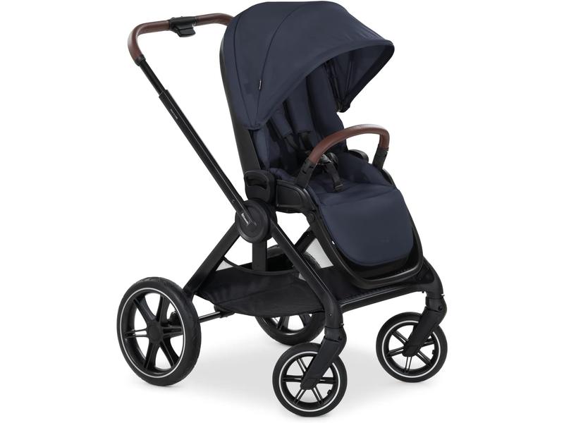 Silla de Paseo hauck Walk N Care