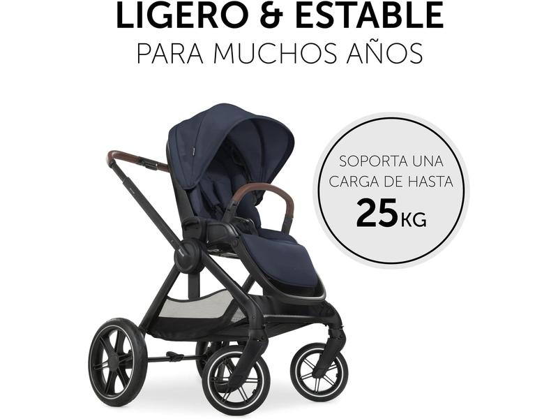Silla de Paseo hauck Walk N Care