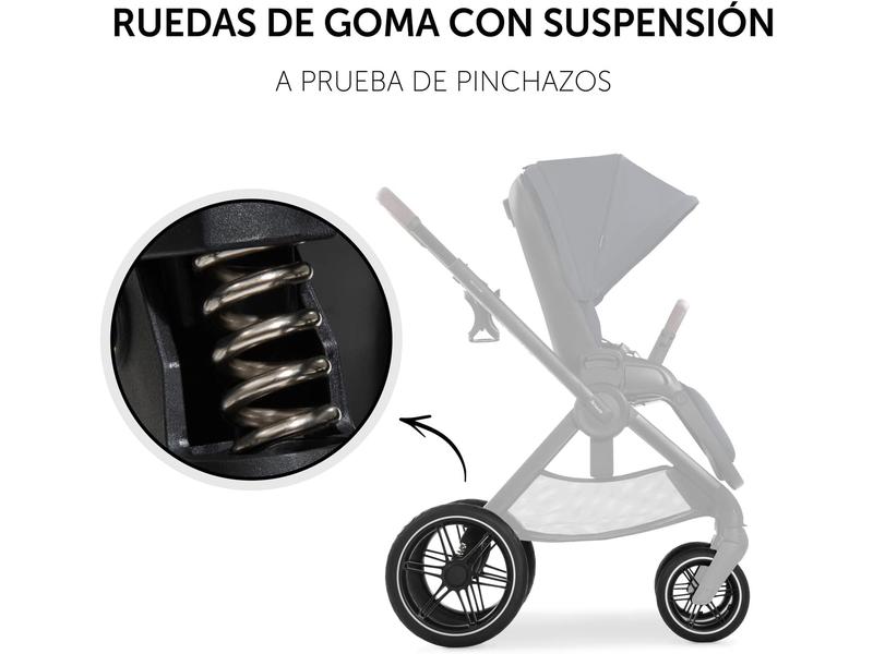 Silla de Paseo hauck Walk N Care
