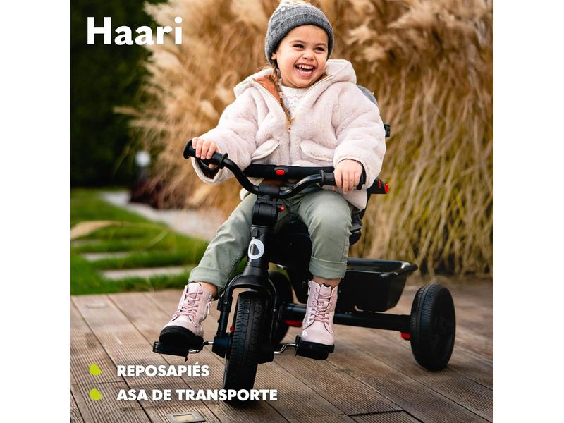 Triciclo carrito bicicleta 2 en 1 Lionelo Haari