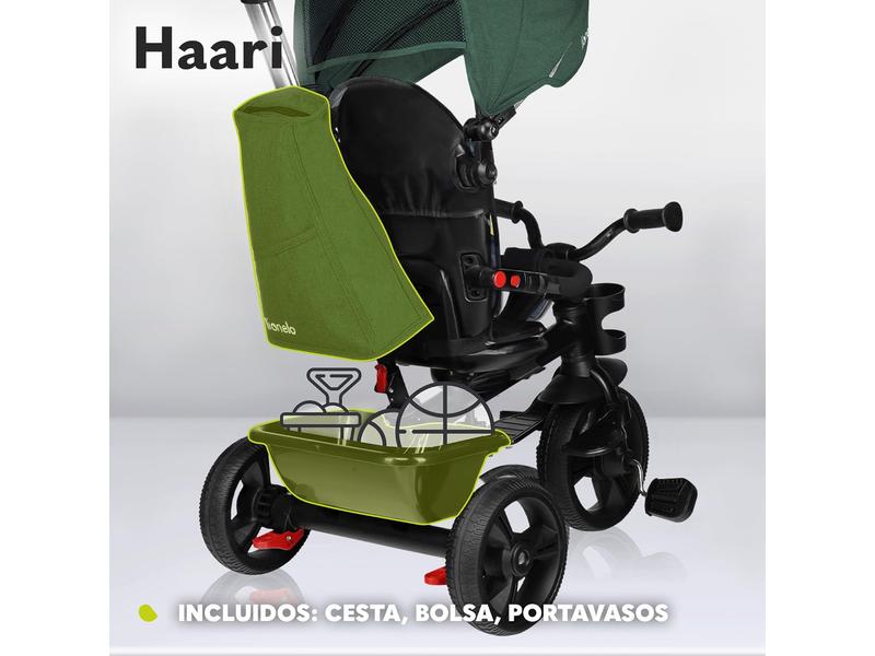 Triciclo carrito bicicleta 2 en 1 Lionelo Haari
