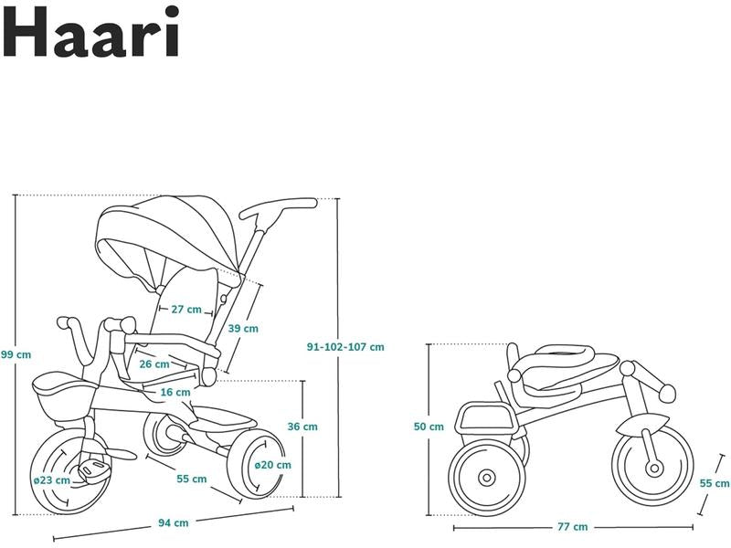 Triciclo carrito bicicleta 2 en 1 Lionelo Haari